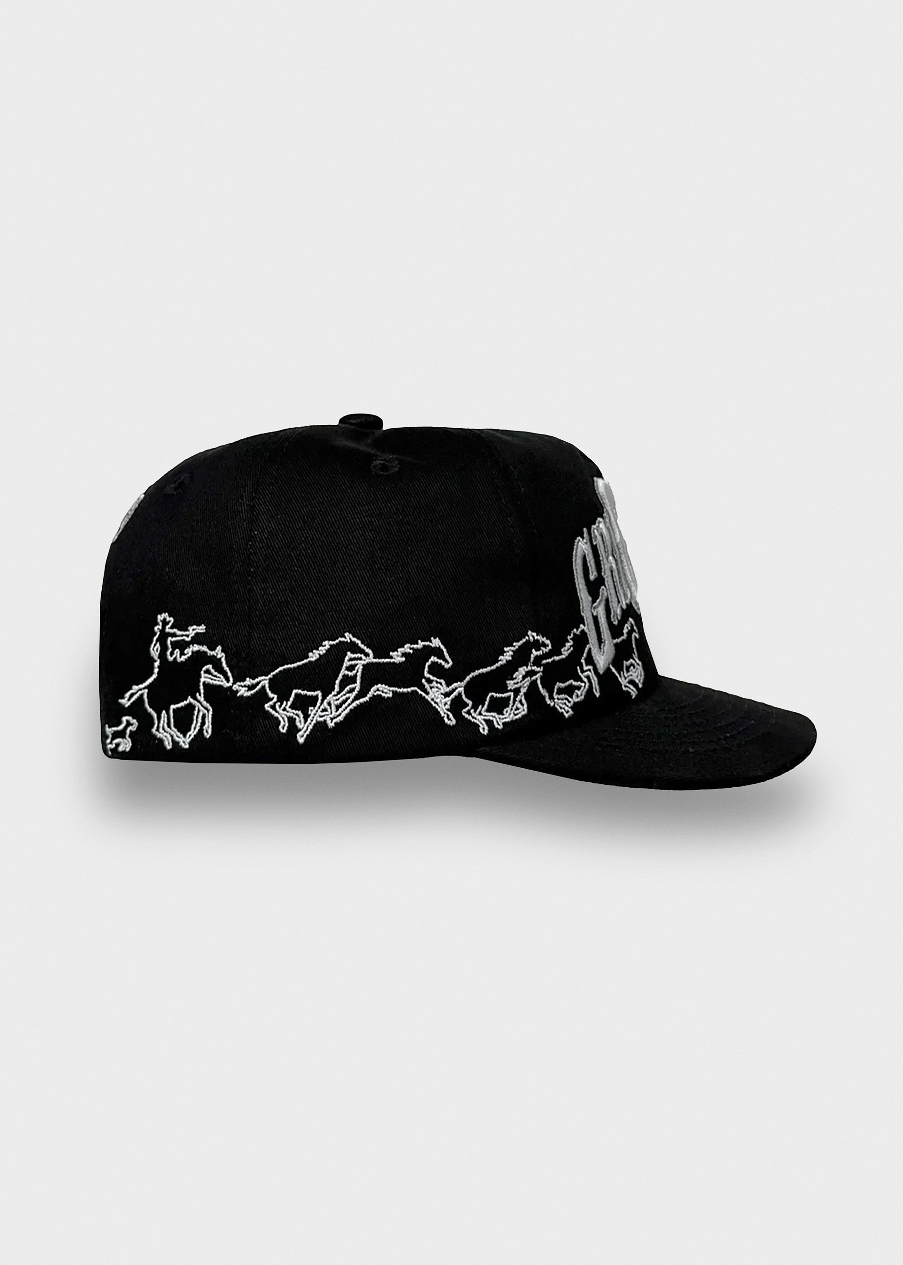 Texas Horses Cap Pitch Black