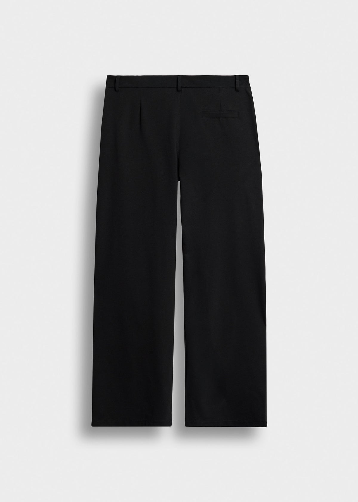 Pleated Tailored Pants